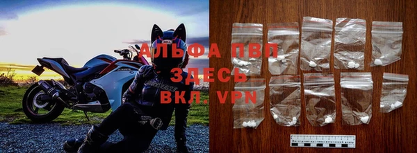 apvp Ельня