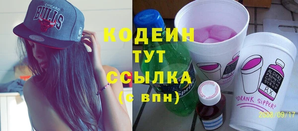 apvp Ельня